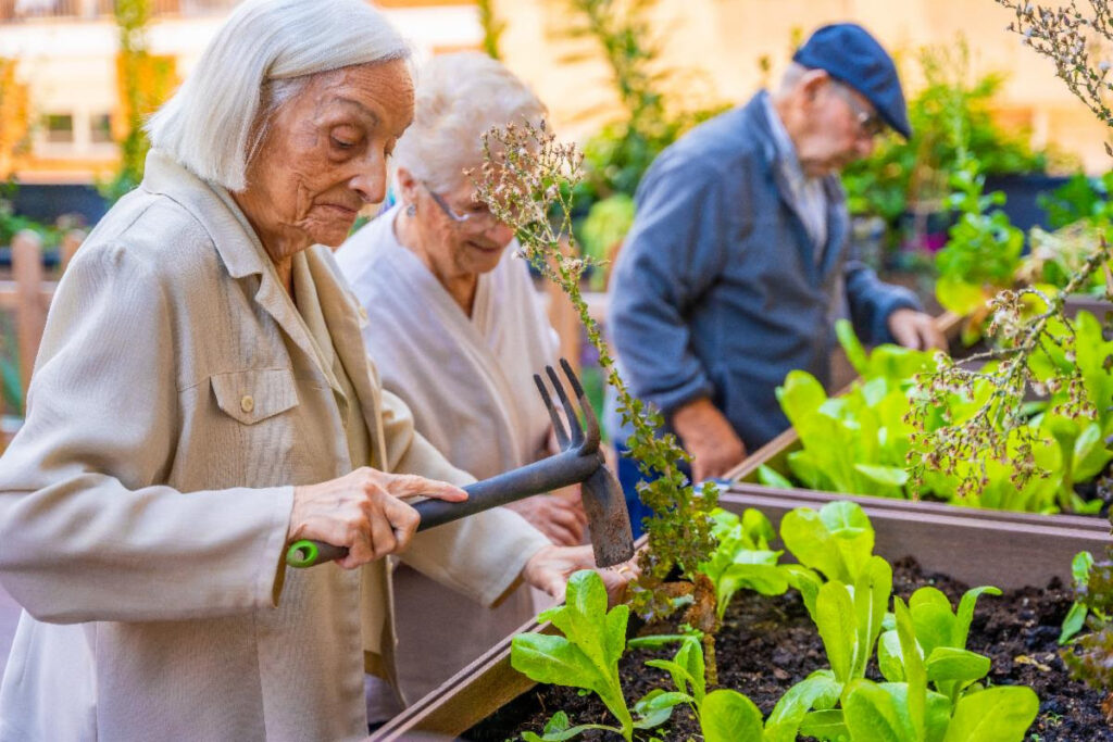 Dementia Friendly Activities